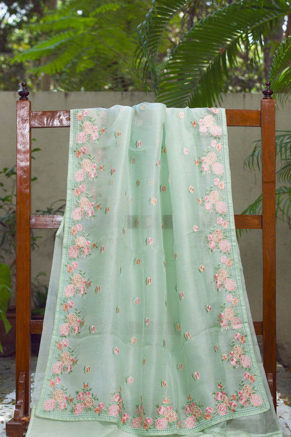 Glorious Garden  - Silk Organza Saree