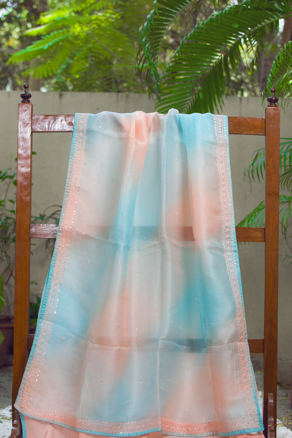 Stardust - Organza Silk Saree