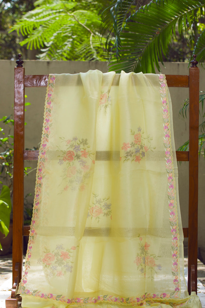 Indie Summer - Silk Organza Saree