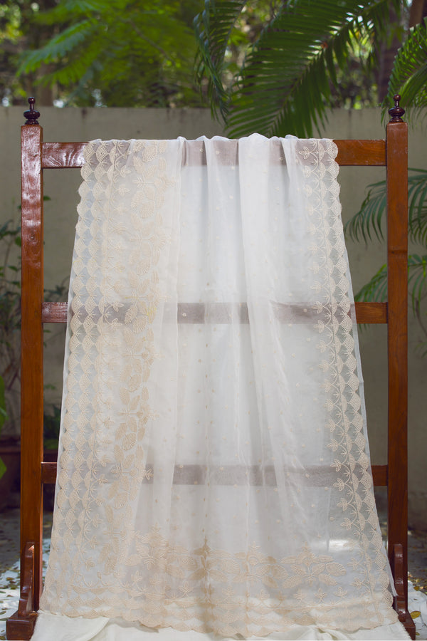 Snow Garden  - Silk Organza Saree