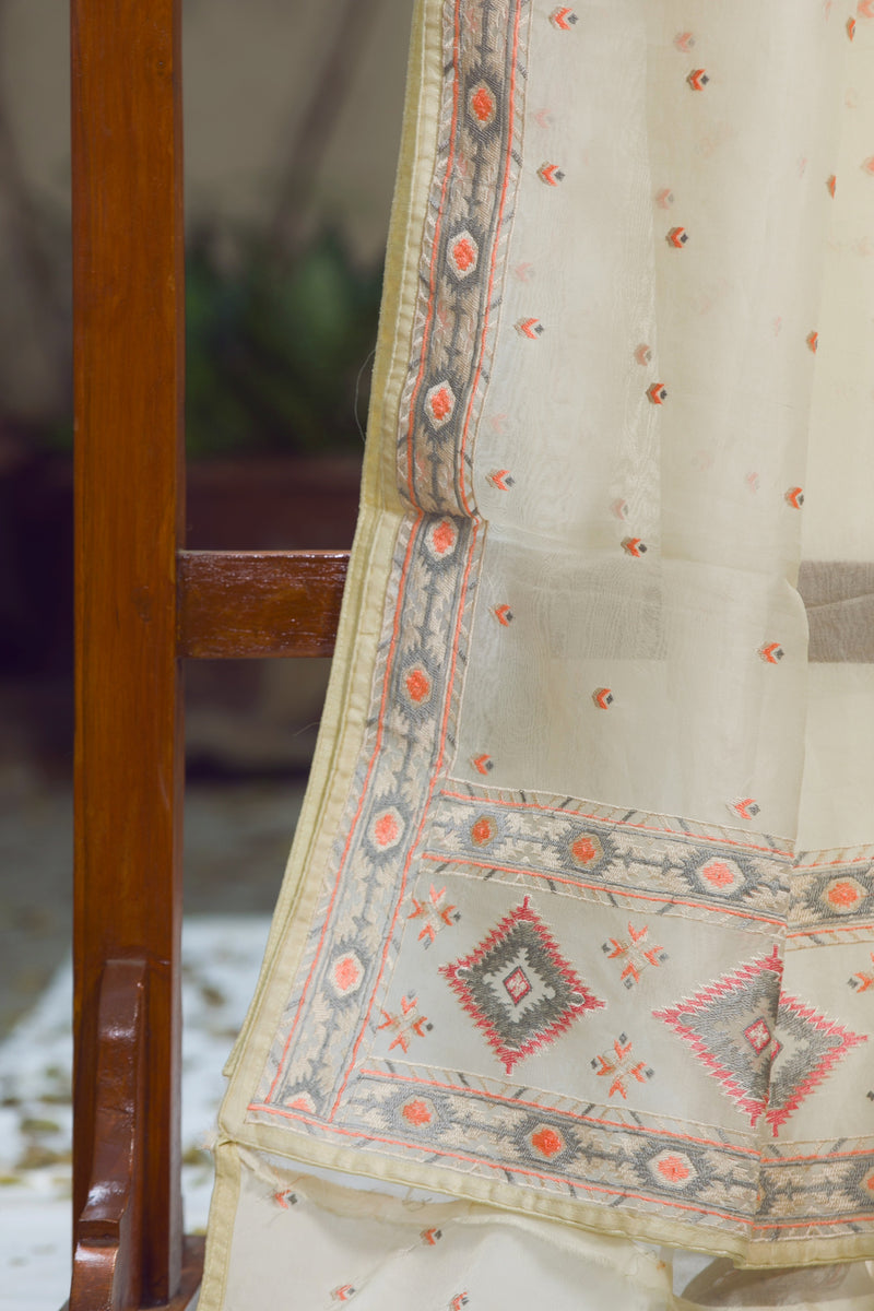 Pure Bliss - Silk Organza Saree