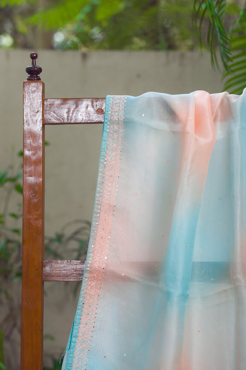 Stardust - Organza Silk Saree