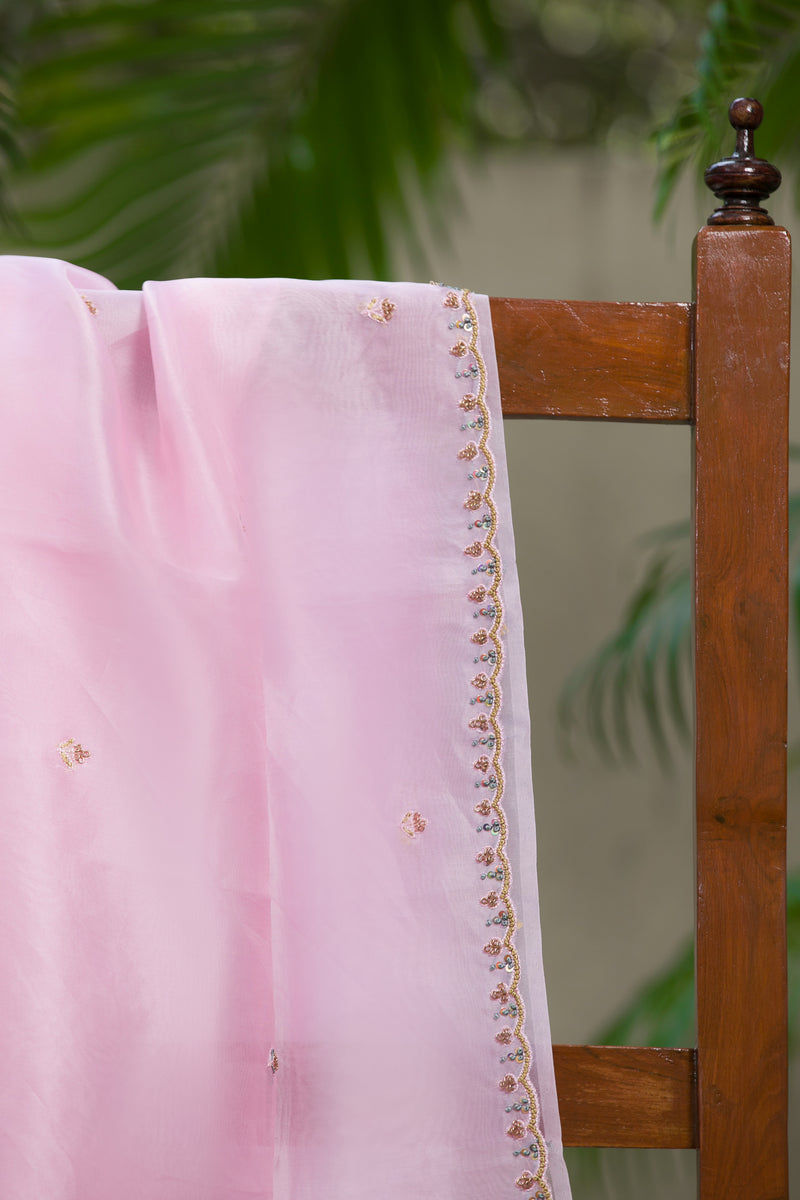 Fairyland - Organza Silk Saree