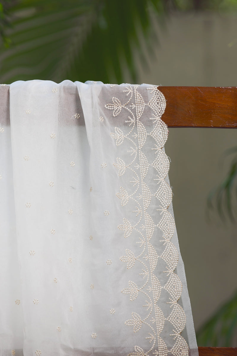 Snow Garden  - Silk Organza Saree