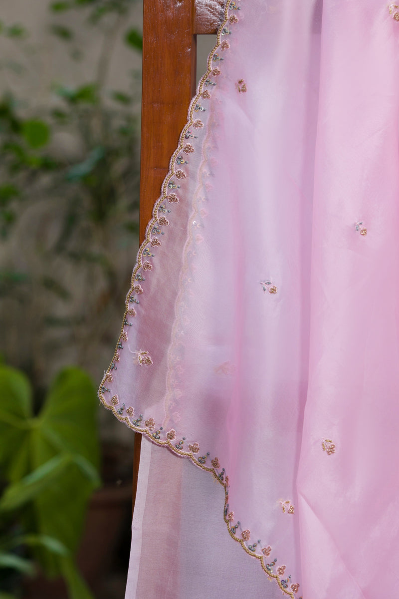 Fairyland - Organza Silk Saree