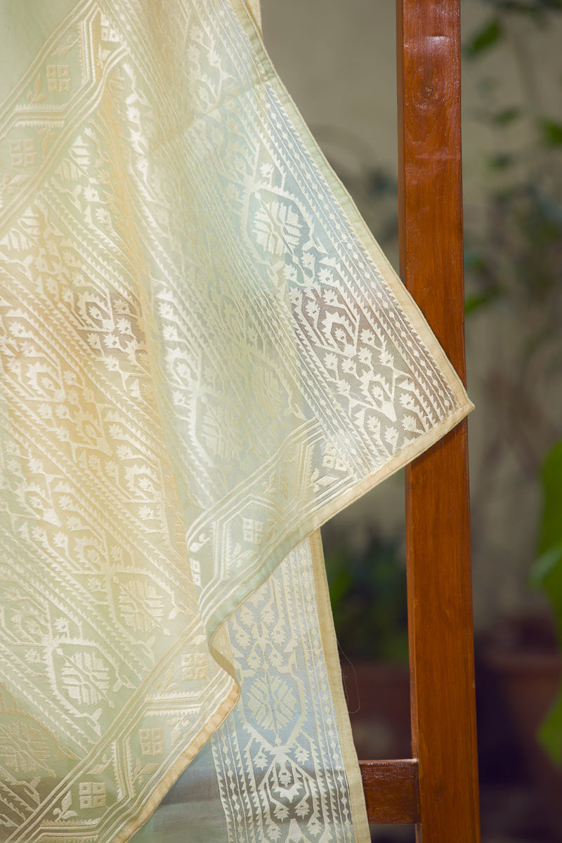 Jamdani Inspired - Embroidered Organza Saree