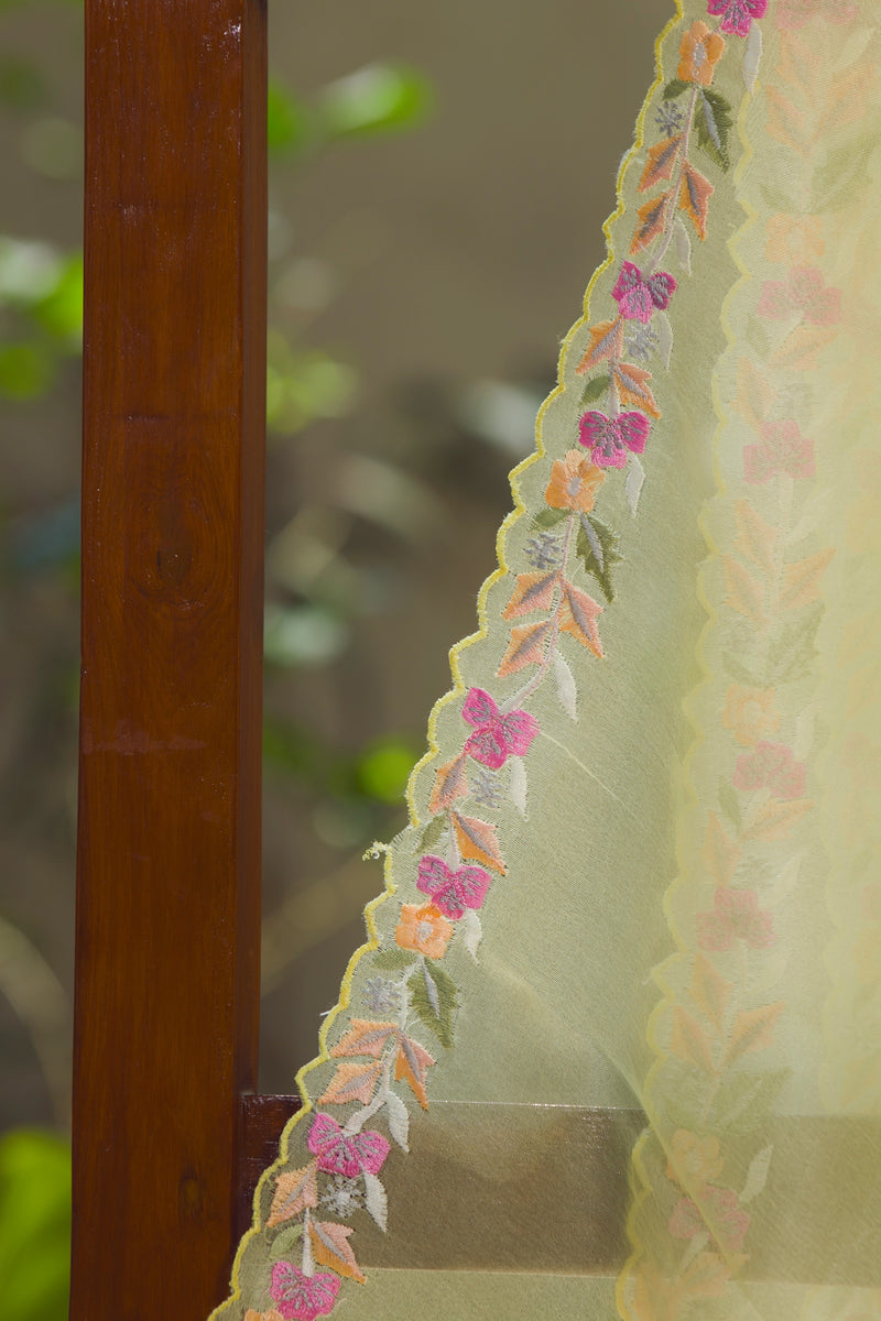 Indie Summer - Silk Organza Saree