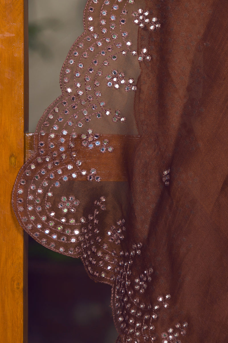 WOW Brown - Silk Organza Saree