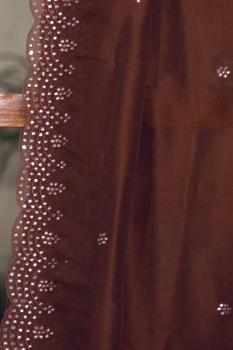 WOW Brown - Silk Organza Saree
