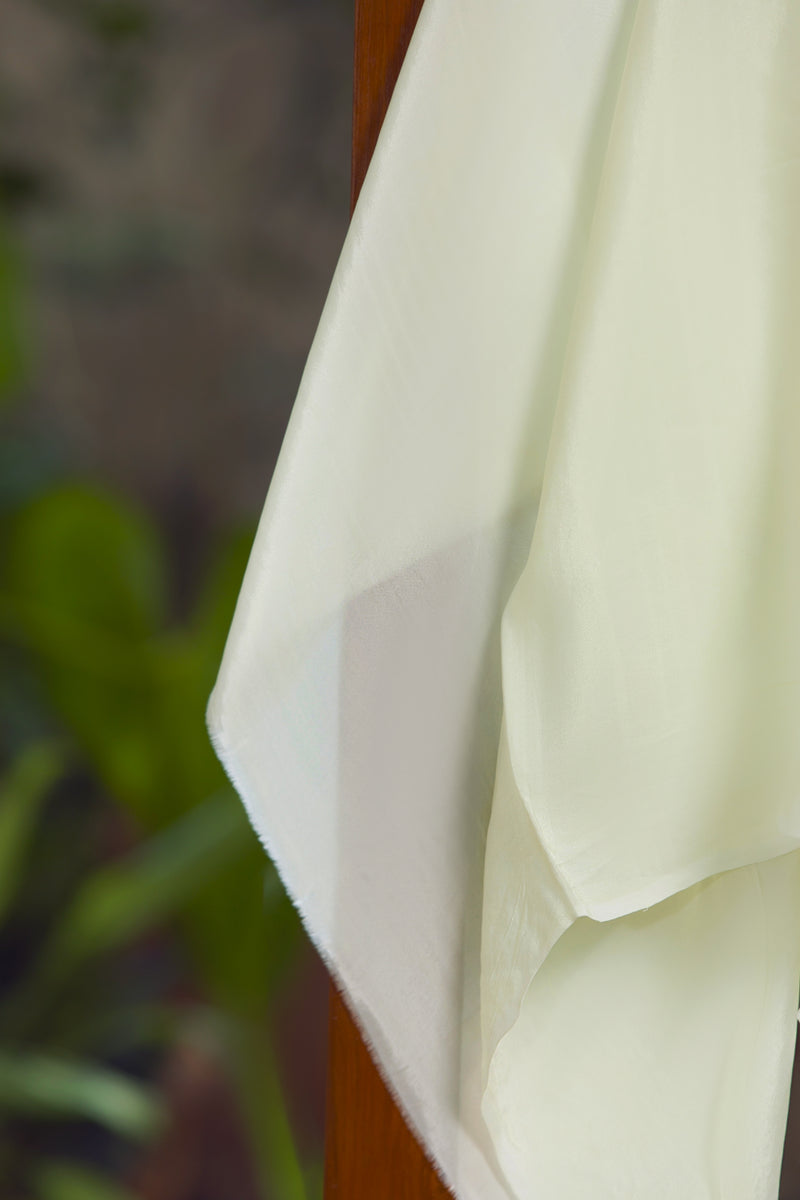 Jamdani Inspired - Embroidered Organza Saree