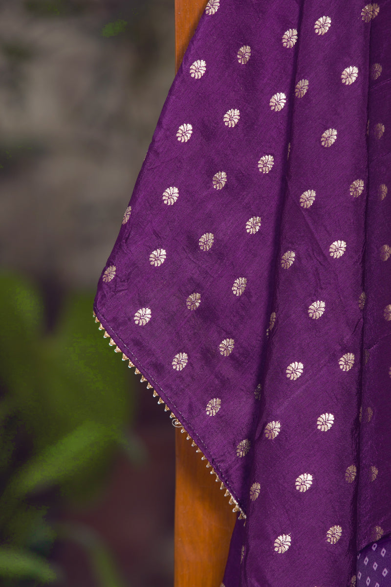 Good Luck - Organza Saree