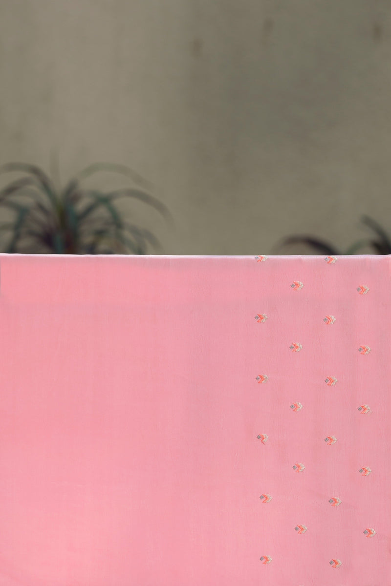 Pink Poise  - Silk Organza Saree