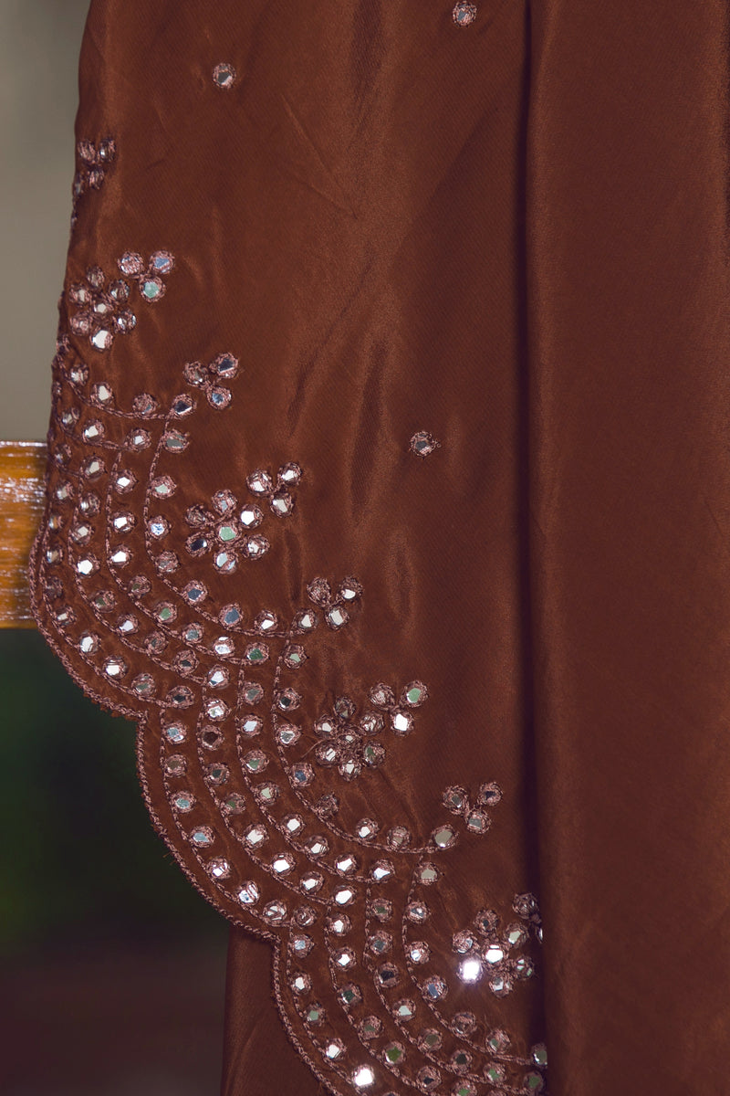 WOW Brown - Silk Organza Saree