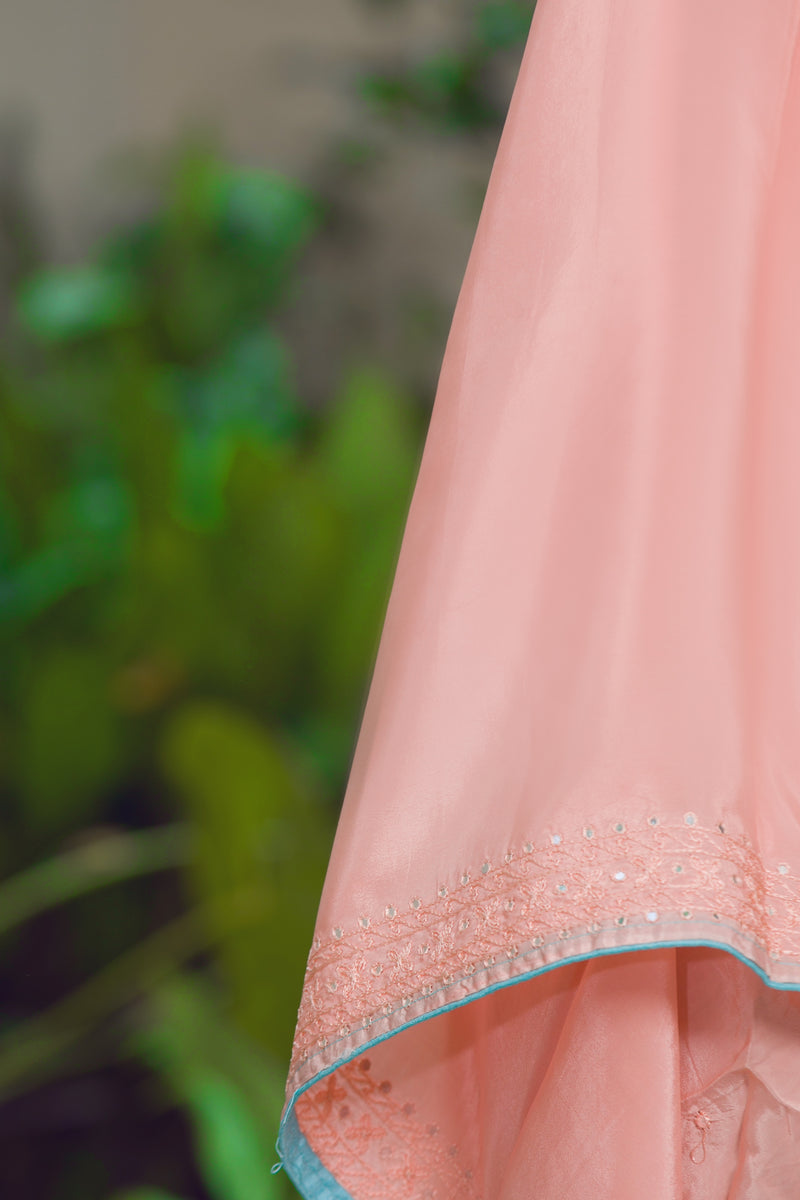 Stardust - Organza Silk Saree